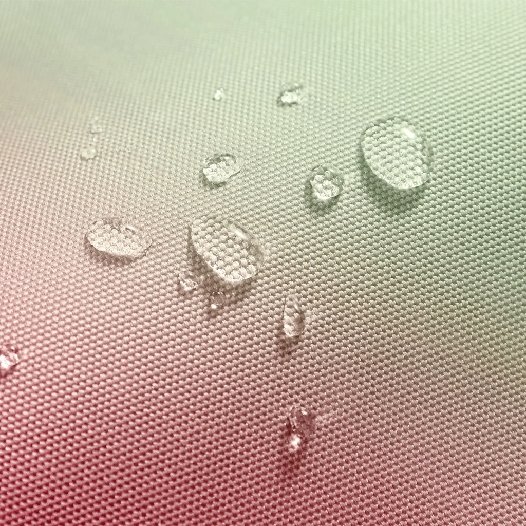 239005_10.jpg