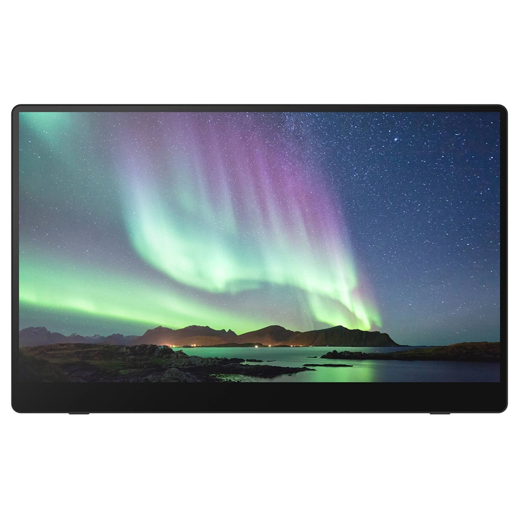 Ricoh 150BW Mobiler OLED-Monitor mit Touchscreen