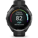 Garmin Forerunner 965 Black/Powder Gray