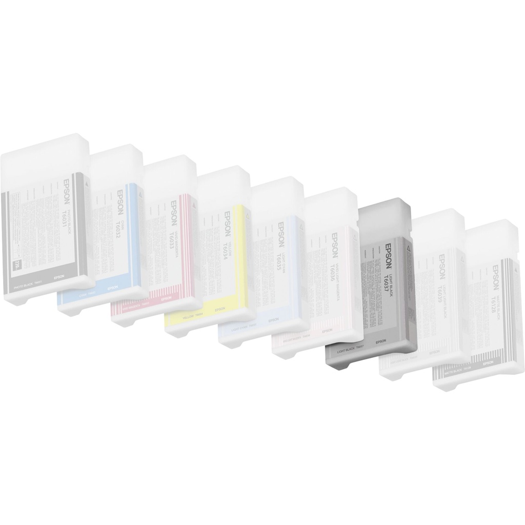 Epson ink cartridge light black   T 603  220 ml     T 6037