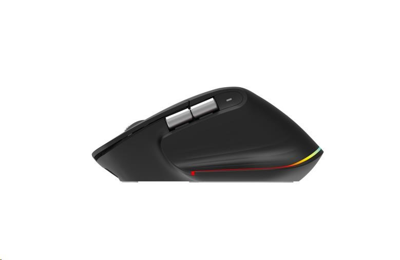 Acer Easy Fit Maus