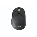 Conceptronic LORCAN02B Ergonomic Bluetooth Mouse