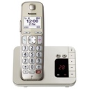 Panasonic KX-TGE260GN champagne