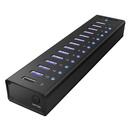 ICY BOX IB-AC6113 13-Port USB 3.0 Hub