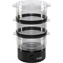 Russell Hobbs 26530-56 Compact steamer