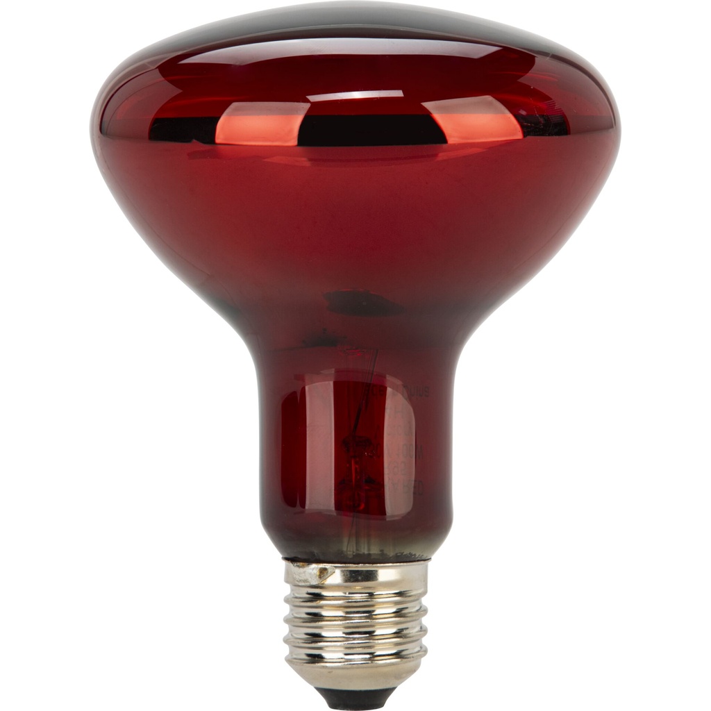Beurer Replacement Lamp for Red Light and Infrared Lamps