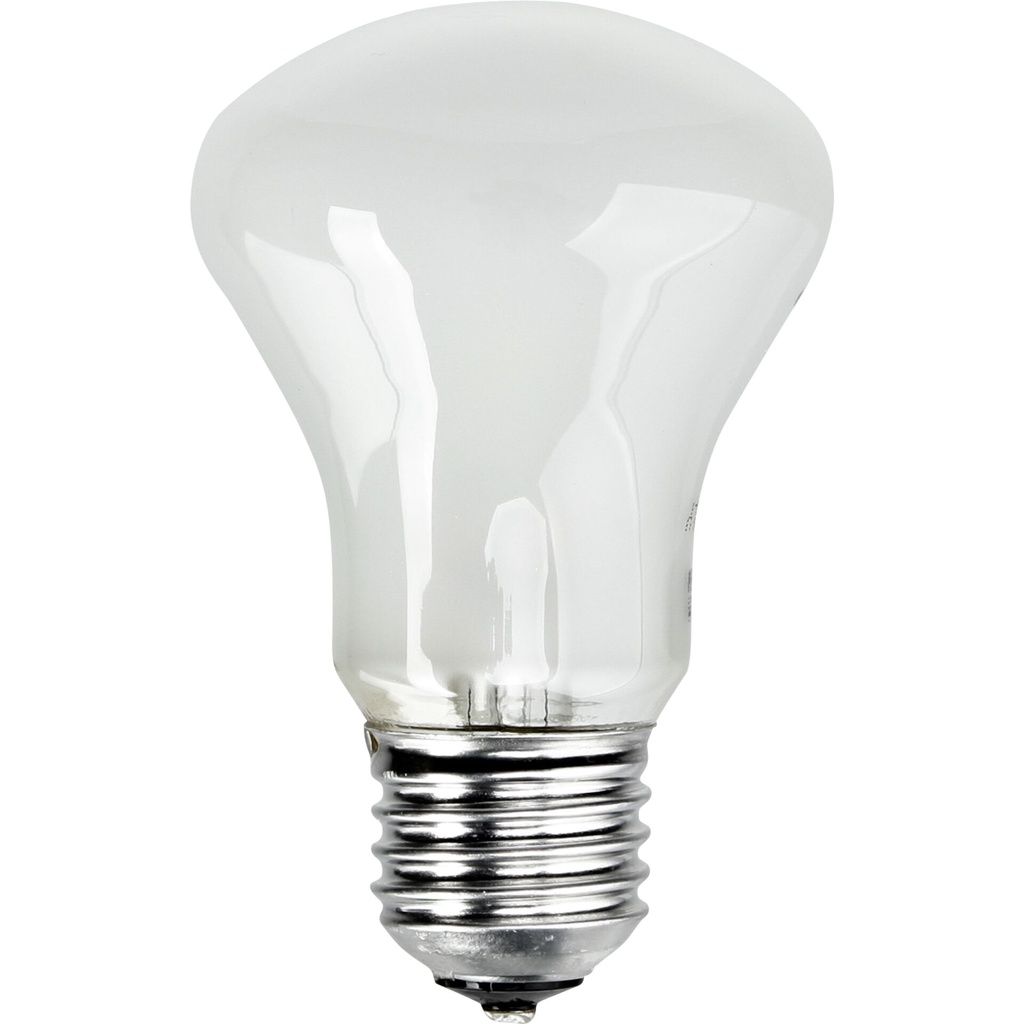 Elinchrom adjsustment light 196V/100W E 27
