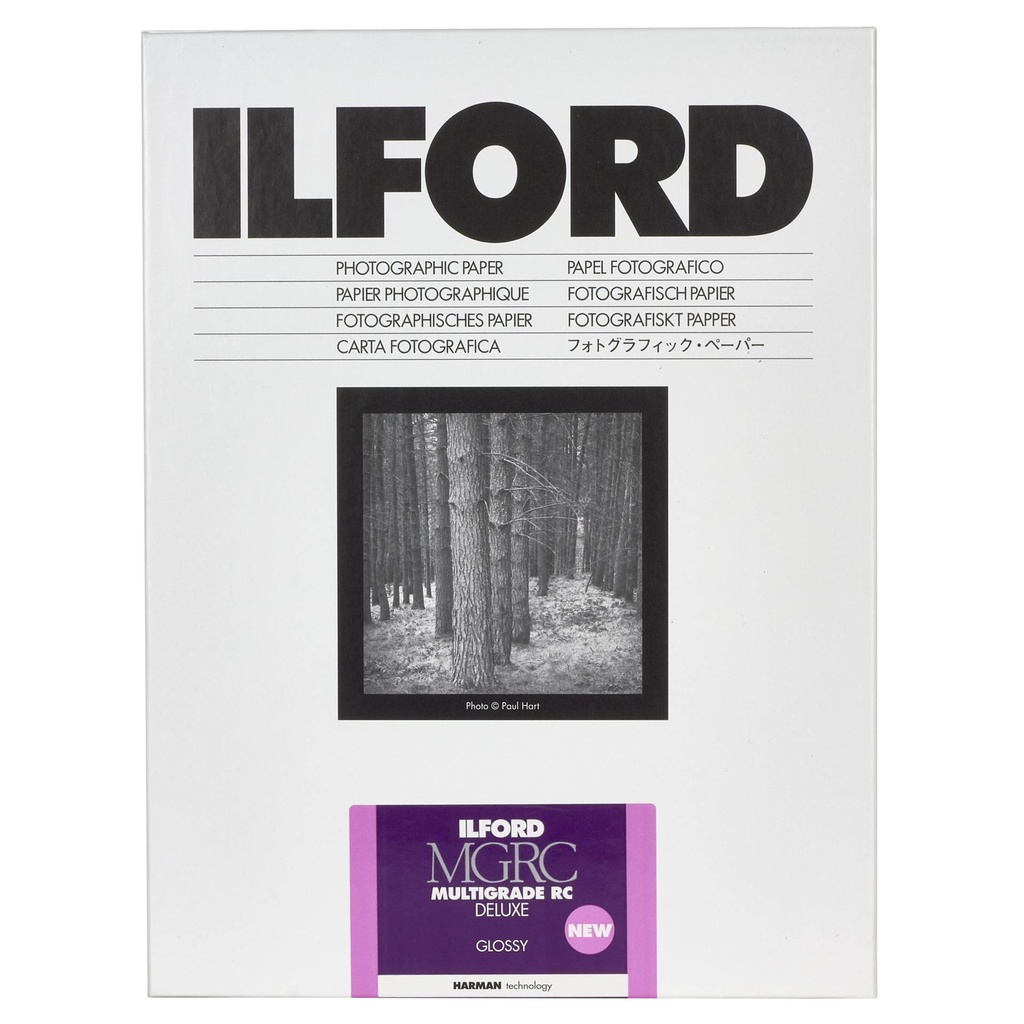 1x 50 Ilford MG RC DL  1M  30x40