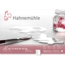 Hahnemühle Harmony Watercolour cold pressed 12 Sheets 300 g  A4