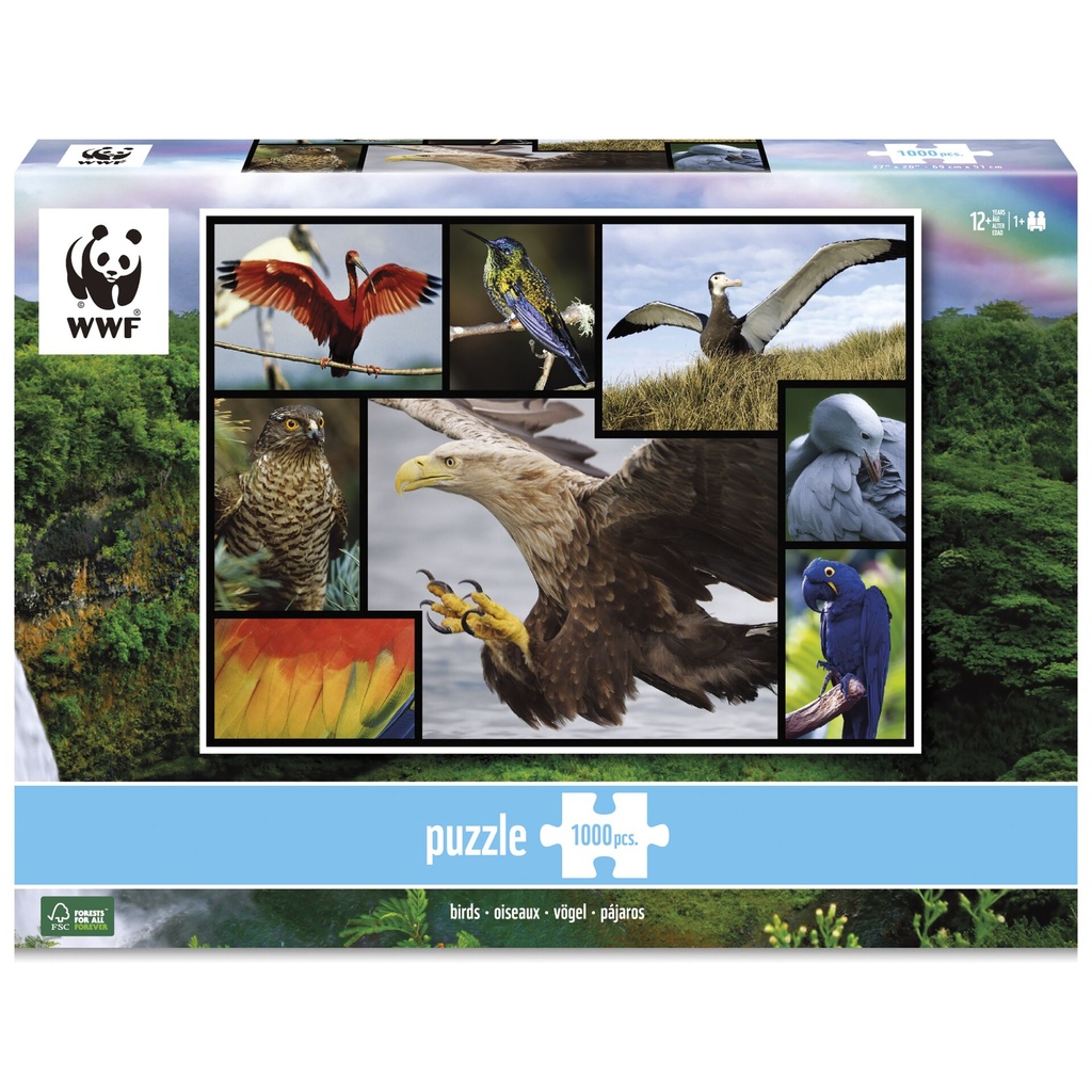 Ambassador Birds 1000 Pieces