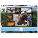 Ambassador Birds 1000 Pieces