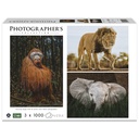 Ambassador Wildlife 3x1000 Pieces (Donal Boyd)