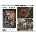 Ambassador Wildlife Families 3x 1000 Pieces (Donal Boyd)