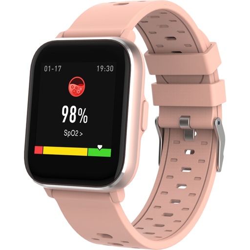 [690608] Denver SW-164 Rose