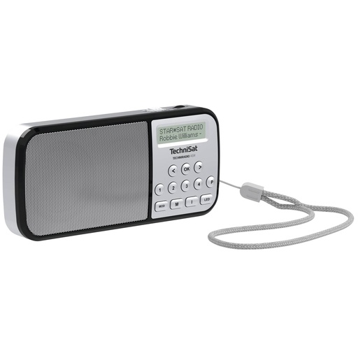 [520746] Technisat TechniRadio RDR silver