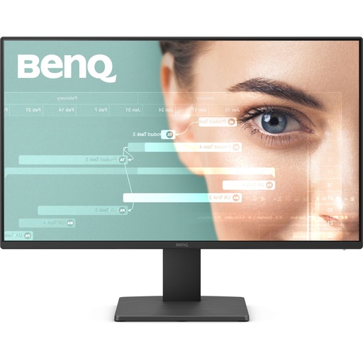 [137666] BenQ GW2491