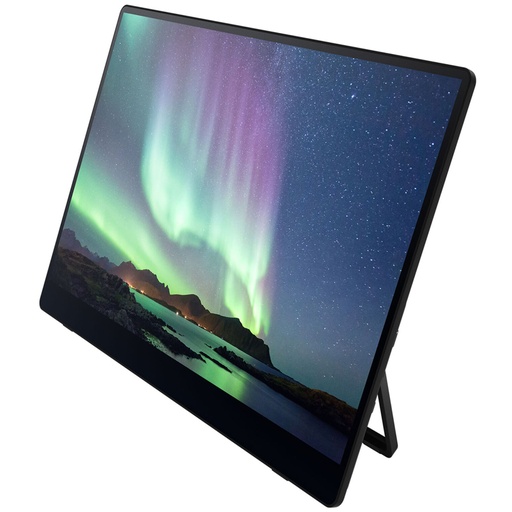 [181668] Ricoh 150 Mobiler OLED-Monitor mit Touchscreen