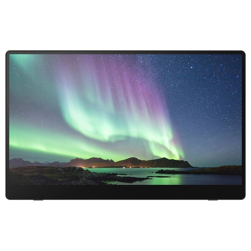 [181675] Ricoh 150BW Mobiler OLED-Monitor mit Touchscreen