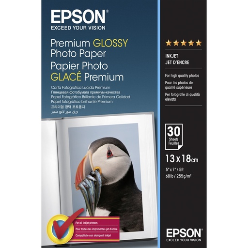 [200557] Epson Premium Glossy Photo Paper 13x18cm, 30 Sheet, 255g  S042154