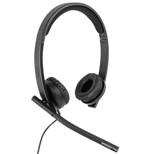 [199943] Logitech H570E USB Headset Stereo