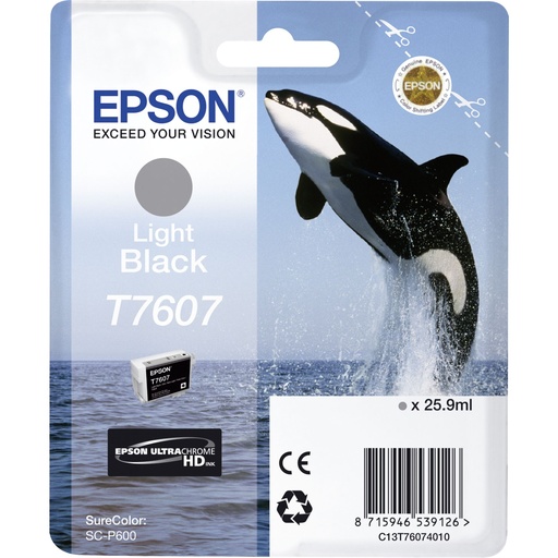 [857927] Epson ink cartridge light black T 7607
