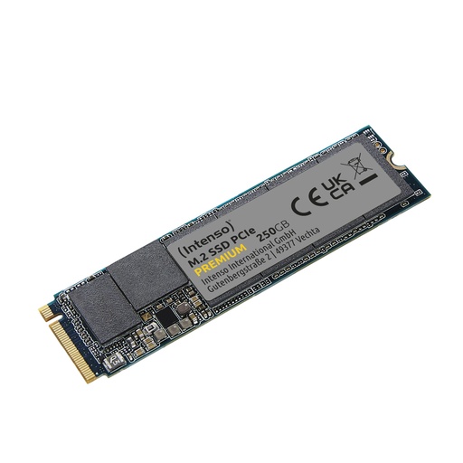[676643] Intenso M.2 SSD Premium    250GB PCIe NVMe