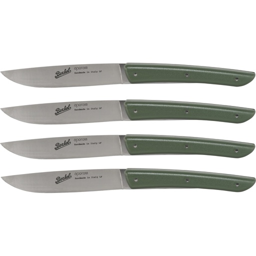 [855059] Berkel steak knife set 4-pcs. Color green
