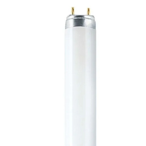 [217998] Osram Leuchtstoffröhre L T8 36W/840 G13 97 cm