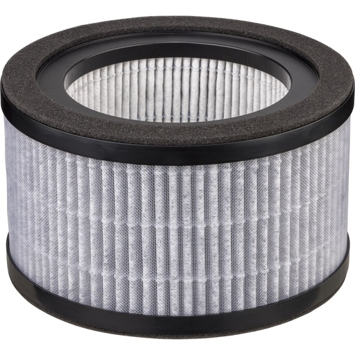 [650778] Beurer LR 220 Replacement Filter