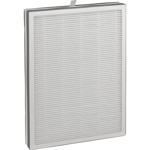 [650813] Beurer LR 500 Replacement Filter