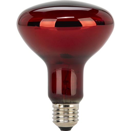 [136917] Beurer Replacement Lamp for Red Light and Infrared Lamps