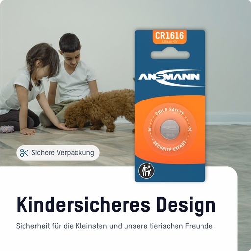 [522485] Ansmann CR 1616