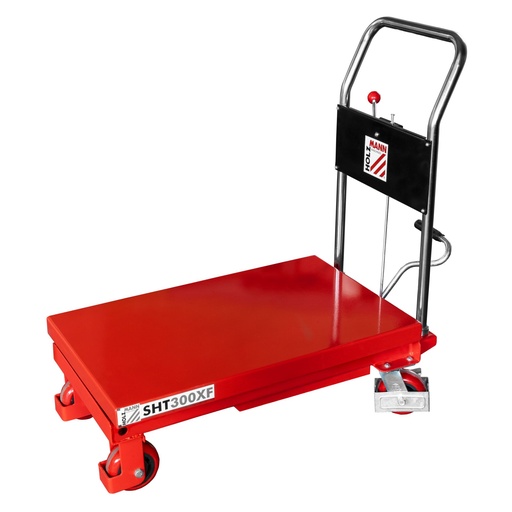 [879657] Holzmann SHT300XF Moveable Lifting Table