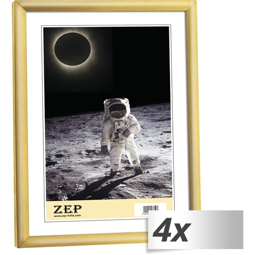 [316185] 4x1 ZEP New Easy gold      10x15 Resin Frame KG1