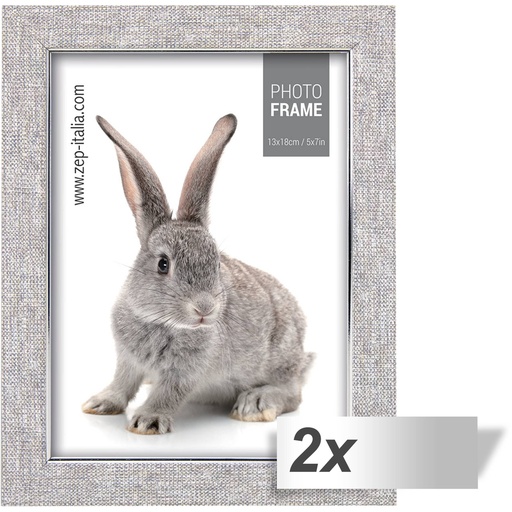 [455653] 2x1 ZEP Doneck B           13x18 Plastic Frame              AZ157