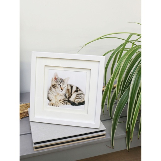 [869948] Deknudt S65KK1 white 13x13 Wood double Passepartout