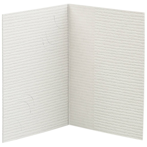 [489011] 1x100 Daiber Folder Passport Photograph, 3 sizes , grey