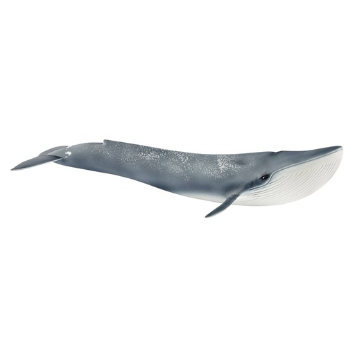 [335785] Schleich Wild Life         14806 Blue Whale